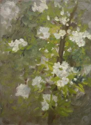 Flor Blanca
